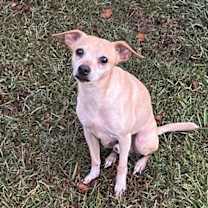 Thumbnail photo of Manny #3