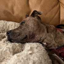 Thumbnail photo of Bingo #2