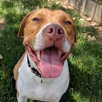Thumbnail photo of Gunner #3