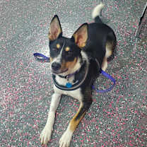Thumbnail photo of Cheyenne #1