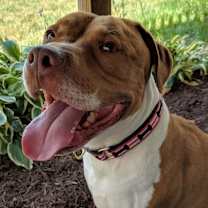 Thumbnail photo of Gunner #4