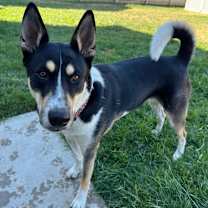 Thumbnail photo of Cheyenne #2