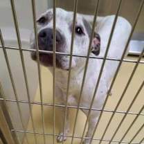 Thumbnail photo of Agnes #3