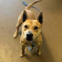 Thumbnail photo of Ace #4