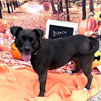 Thumbnail photo of Bianca 2.0 #2