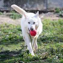 Thumbnail photo of Audrey #2
