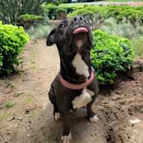 Thumbnail photo of Betty #3