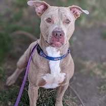 Thumbnail photo of Gavin #2