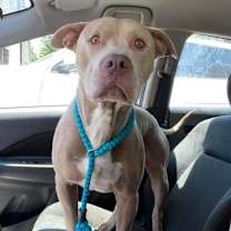 Thumbnail photo of Gavin #3