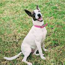 Thumbnail photo of Sparkles Miamor #1