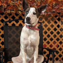 Thumbnail photo of Sparkles Miamor #2