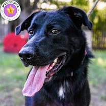 Thumbnail photo of Duke #1