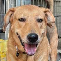 Thumbnail photo of Adele #3