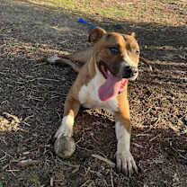 Thumbnail photo of Phyllis #2