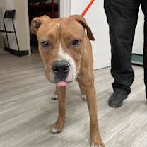 Thumbnail photo of Spanky #3