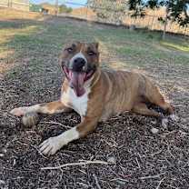 Thumbnail photo of Phyllis #3