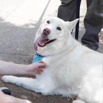 Thumbnail photo of Ghost #3