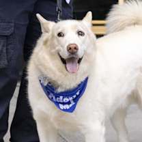 Thumbnail photo of Ghost #4