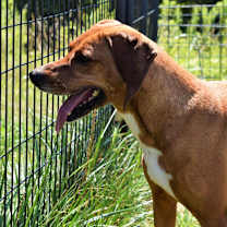 Thumbnail photo of Waylen #4