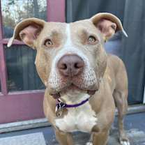 Thumbnail photo of Marsha #1