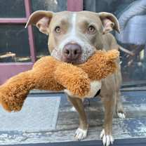 Thumbnail photo of Marsha #2