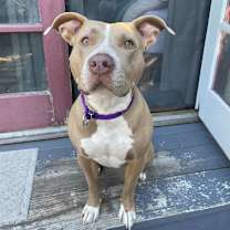 Thumbnail photo of Marsha #3