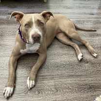 Thumbnail photo of Marsha #4