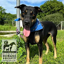 Thumbnail photo of Jessie #1