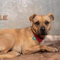 Thumbnail photo of Belle #2