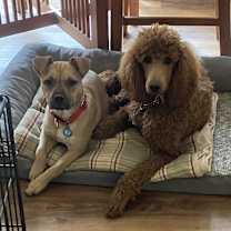Thumbnail photo of Belle #4