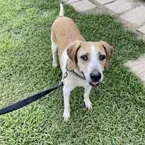 Thumbnail photo of Nick #4