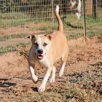 Thumbnail photo of Ella #1