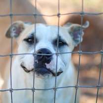 Thumbnail photo of Ella #2