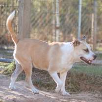 Thumbnail photo of Ella #4