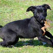 Thumbnail photo of Xena Too #2