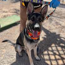 Thumbnail photo of Captain #2