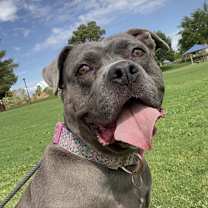 Thumbnail photo of Eloise #1