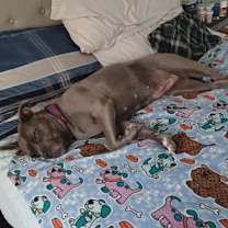 Thumbnail photo of Eloise #2