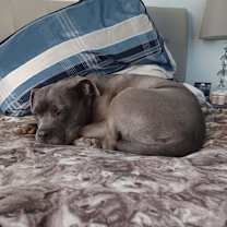 Thumbnail photo of Eloise #3