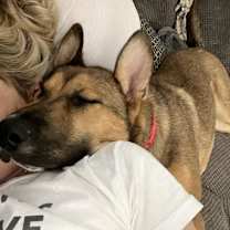 Thumbnail photo of Piper #4