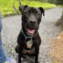 Thumbnail photo of Juvia #1