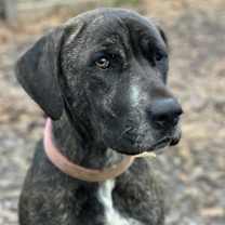 Thumbnail photo of Berkley #2