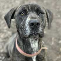 Thumbnail photo of Berkley #3