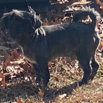 Thumbnail photo of Hyatt (Dallas) #2