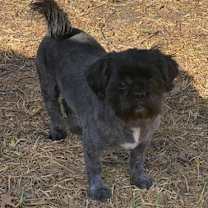 Thumbnail photo of Hyatt (Dallas) #4