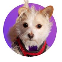 Thumbnail photo of Sidney #1