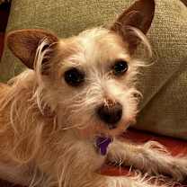 Thumbnail photo of Sidney #2