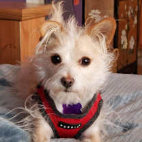 Thumbnail photo of Sidney #4