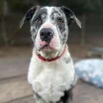 Thumbnail photo of Esther #1