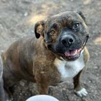 Thumbnail photo of Sasha #1